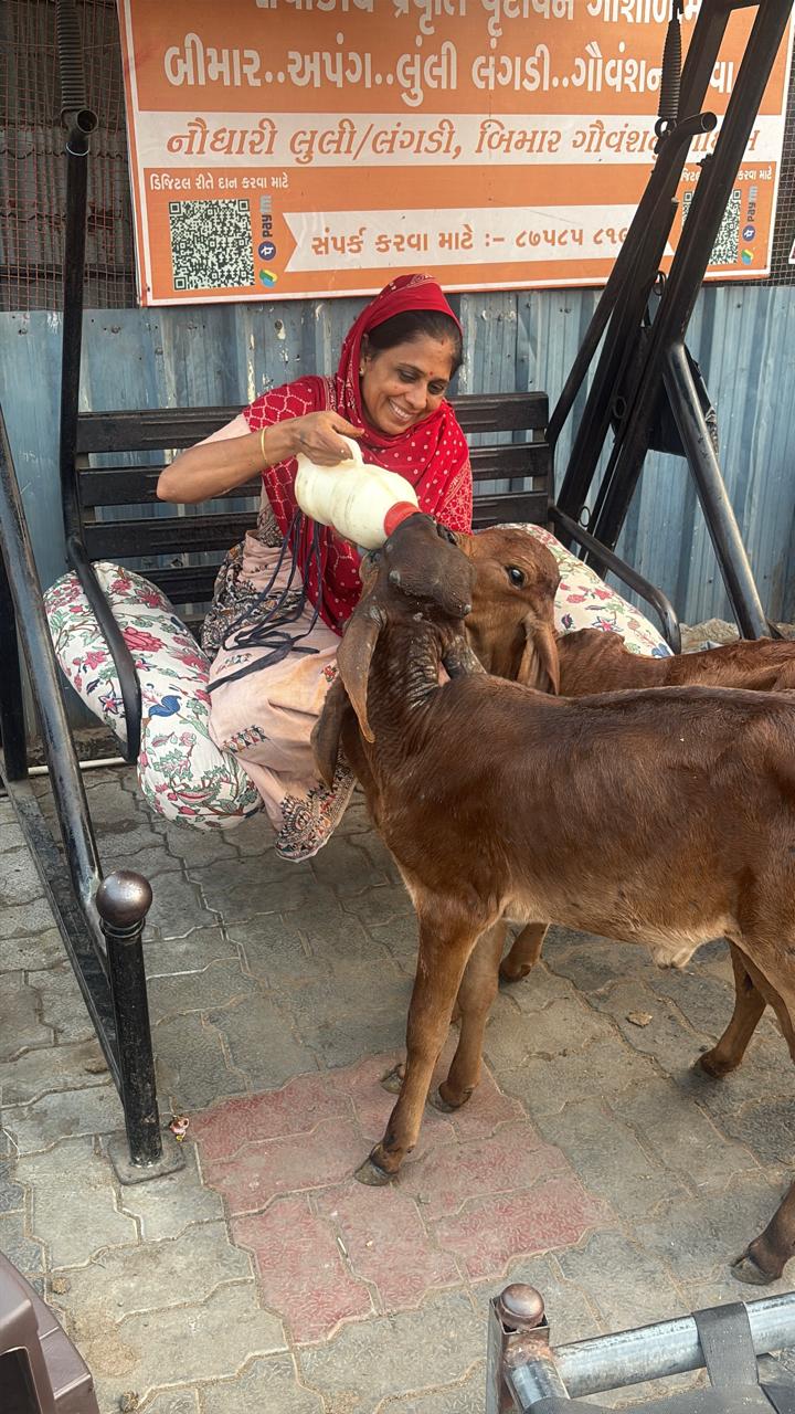 Feeding the Gauvansh